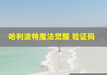 哈利波特魔法觉醒 验证码